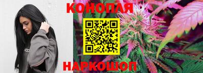 бошки Будённовск